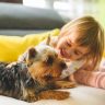 cani e bambini, animali domestici, primo lutto, rapporto cani e bimbi, gioco per bimbi, legame cane bimbo