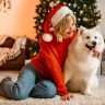 natale pet
