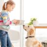 Monge uno dei consigli per gli acquisti di Lallohallo, Monge, Alimenti Secchi Monge, Alimenti Secchi Cane,