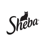 Sheba Sheba