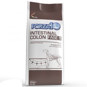 FORZA10 ACTIVE INTESTINAL COLON Forza10