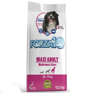 FORZA10  MAINTENANCE - MAXI ADULT Forza10