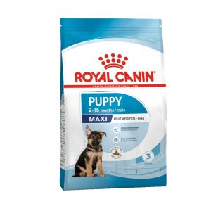 puppy maxi royal canin, royal canin max puppy, royal canin puppy maxi, crocchette royal canin maxi puppy,