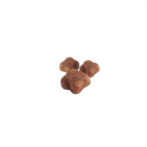 ROYAL CANIN MOTHER & BABYCAT Royal Canin