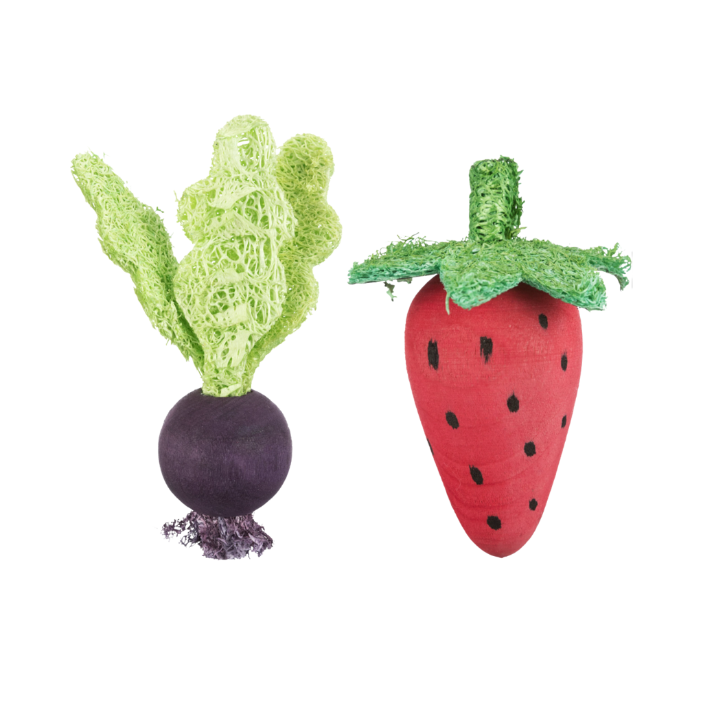 16 Etichette In Legno Per Organizzare Giocattoli - Cerchi In Legno Con Scritte Per Sala Giochi