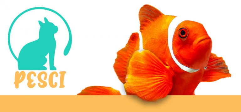Super Promo Manitoba Sabbia Oceanica 2kg (Scadenza 07/06/2023