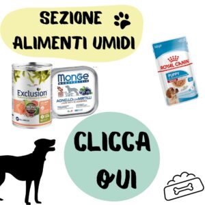 Gli umidi per cani proposti da Lallohallo.com Alimenti Umidi