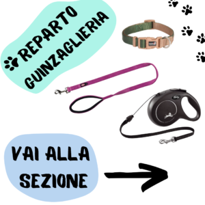 I migliori collari, pettorine e guinzagli per cani collari e guinzagli