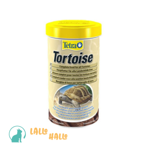 Tortoise-Tetra-LalloHallo