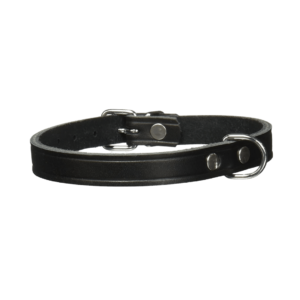 Trixie Basic Collar Nero, Trixie,
