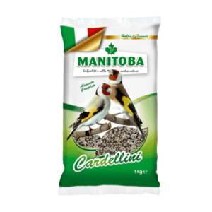 Manitoba Cardellino, Manitoba, mangime per cardellini,