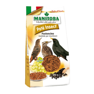Manitoba Patè Insect, Manitoba, alimento composto complementare per uccelli insettivori,