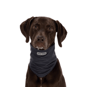 Trixie Insect Shield Dog Loop, Trixie, bandana per cani,