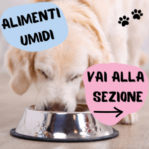 Scegli una corretta dieta per cani anziani, leggi il nostro articoli e acquista i prodotti nel nostro shop