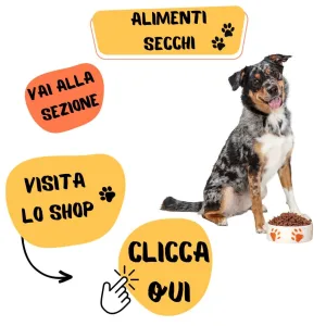 alimenti secchi invernali per cani,