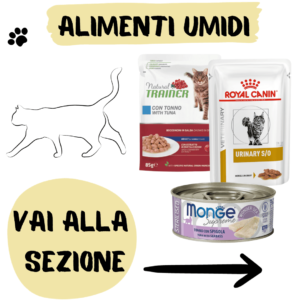 Alimenti umidi per gatti,