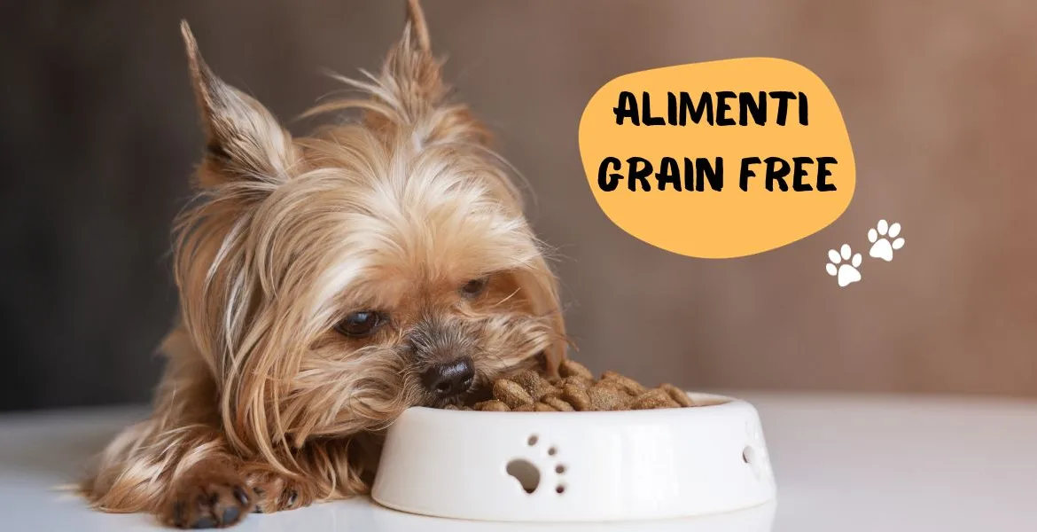 Cibo Grain Free per cani, crocchette per cani grain free,