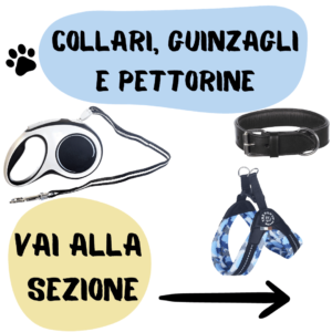 Collari, pettorine e guinzagli,