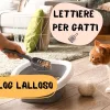 miglior lettiere per gatti, lettiera minerale,