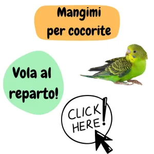 Mangimi per cocorite, Mangime per uccelli, Cocorite, 