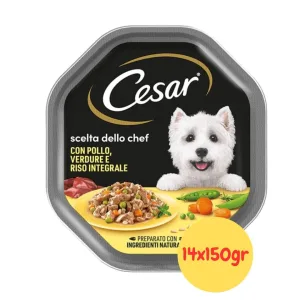 Cesar per Cani Ricetta Scelta dello Chef con Pollo