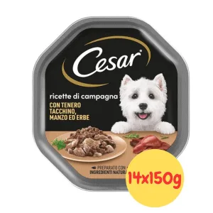 Cesar Ricette di Campagna con Tacchino, alimento umido per cani,