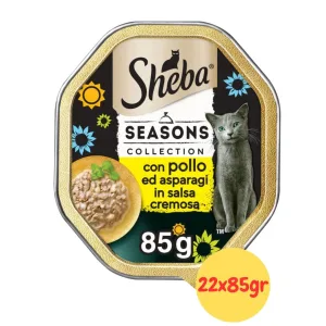 Sheba Seasons Collection con Pollo e Asparagi