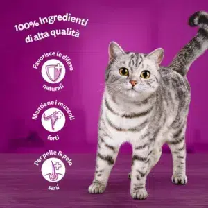 caratteristiche whiskas selezione gustosa