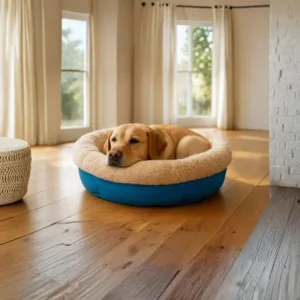 Cuccia tonda blu con morbidissimo interno bianco effetto peluche