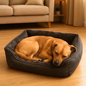 cuccia da interno luxury sofà grigio per cani piccoli e gatti