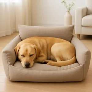 Cuccia a divano beige Soft Sofa GD con cane su sfondo domestico