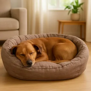 cuccia da interno cani soft haven beige con bordi rialzati