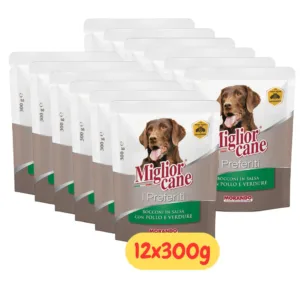 Miglior Cane Preferiti Bocconi Salsa