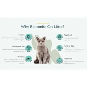 lettiera carbone attivi 5 litri