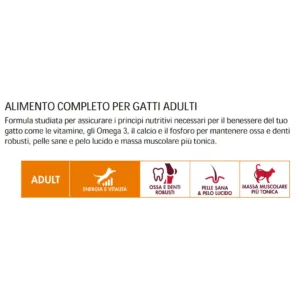 crocchette miglior gatto 2kg