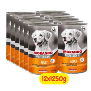 morando cane agnello
