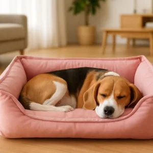 Cuccia rettangolare rosa per cani con sponde alte imbottite e cuscino morbido