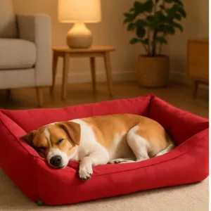 Cuccia per cani rettangolare rossa con bordi imbottiti e soffice base