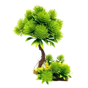 Composizione Piante Acquario Albero