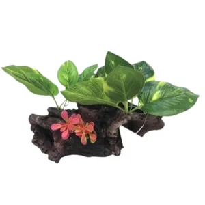 Decorazione Acquario Tronco con Piante Grandi