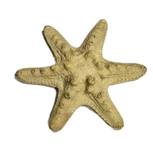 Decorazione per acquario stella marina