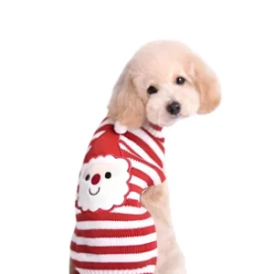 vestito natale per cani