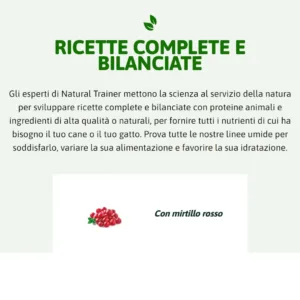 umido trainer kitten