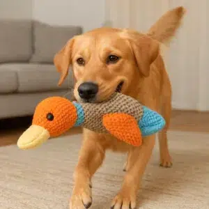 peluche sono per cani