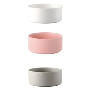 ciotola in ceramica per cani