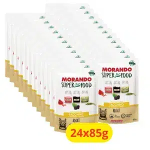 morando superfoog gatto