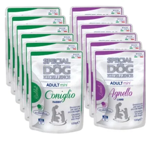 mini adult umido monge dog