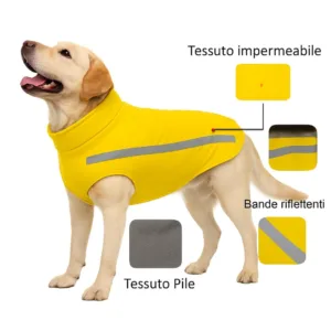 impermeabile per cani corso