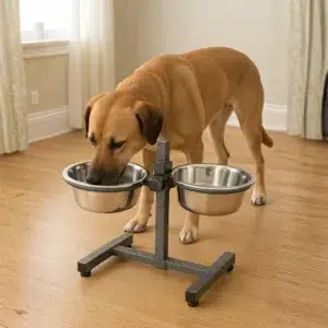 ciotole rialzate per cani
