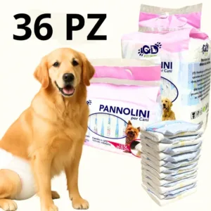 Pannolino per cani indossato da un Golden Retriever con confezione 36 pezzi